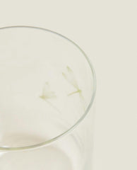 DRAGONFLY TRANSFER TUMBLER