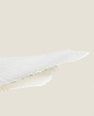 LARGE CEILING LAMP